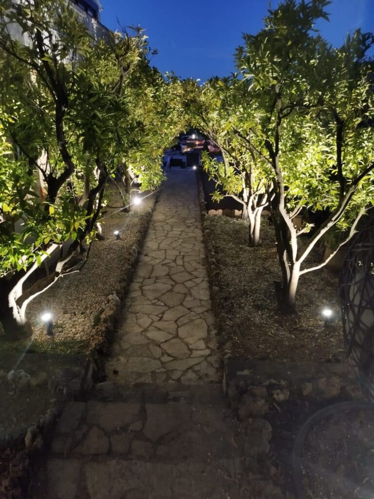 Allée de Jardin Illuminée avec Chemin en Pierre et Arbres Allée en pierre éclairée la nuit bordée d'arbres verdoyants créant une arche naturelle dans un jardin paisible.